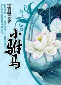 小驸马