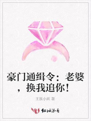 豪门通缉令：老婆，换我追你！