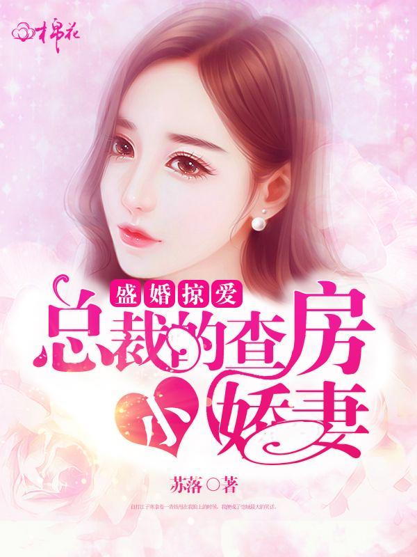 盛婚掠爱:总裁的查房小娇妻
