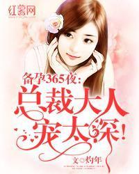 备孕365夜:总裁大人宠太深!