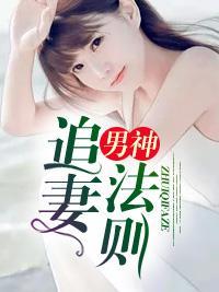 男神追妻法则