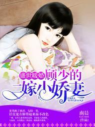 盛世暖婚:顾少的二嫁小娇妻