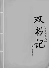 [人民的名义]双书记