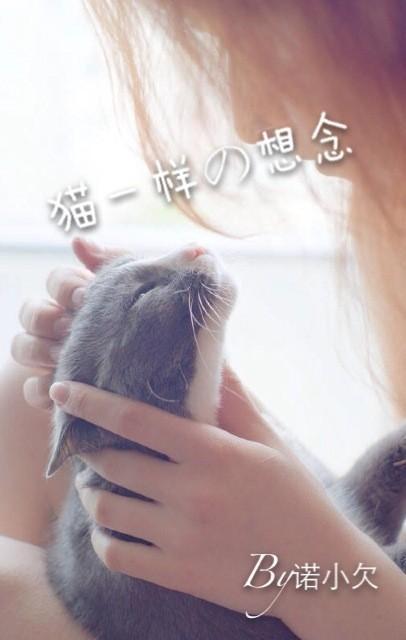 猫一样的想念