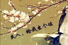 夫人,给我生个娃