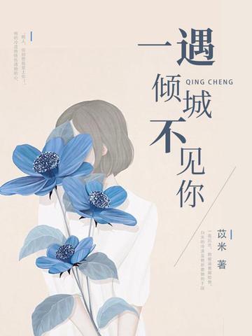 一遇倾城不见你