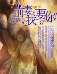 孽情③·前妻,我要你!