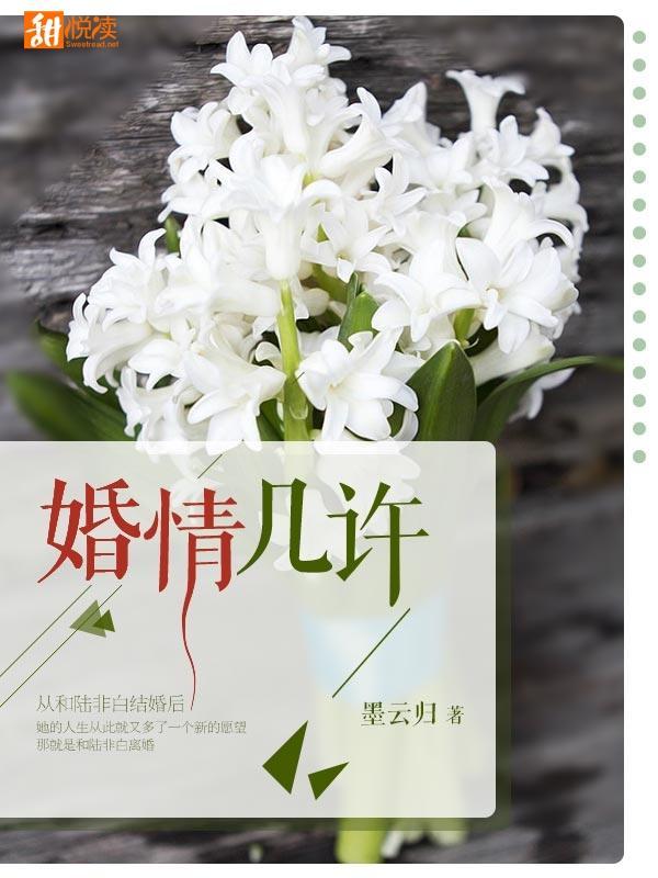 婚情几许