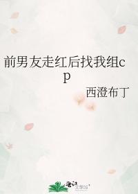 前男友走红后找我组cp