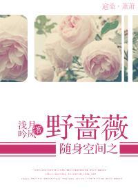 随身空间之野蔷薇