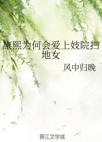 康熙为何会爱上妓院扫地女
