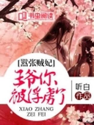 嚣张贼妃:王爷你被俘虏了