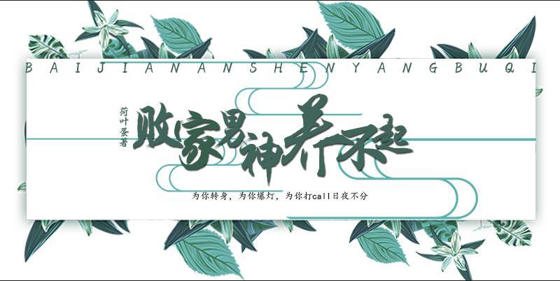 败家男神养不起