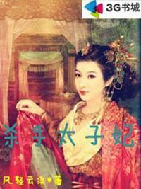 杀手太子妃