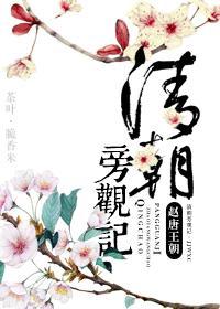 清朝旁观记