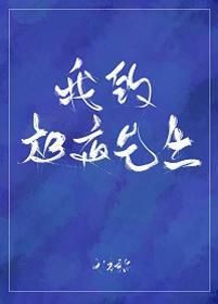 我的极夜先生