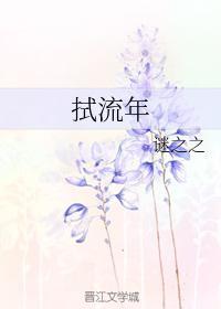 拭流年