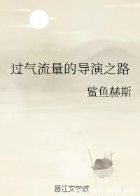 过气流量的导演之路