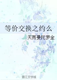 等价交换之约么