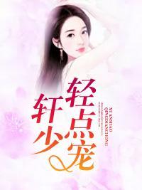 轩少,轻点宠