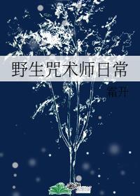 野生咒术师日常