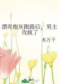 漂亮炮灰跑路后,男主攻疯了