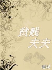 贫贱夫夫