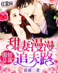 傲娇总裁:甜妻漫漫追夫路