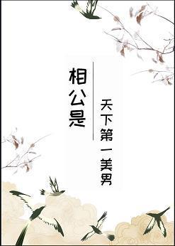 相公是天下第一美男[综武侠]