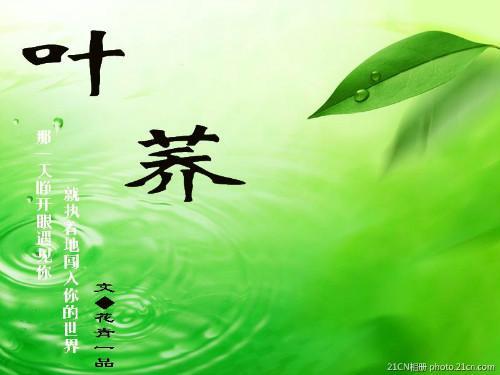 叶荞(异世重生)