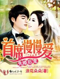先婚后宠，首席慢慢爱