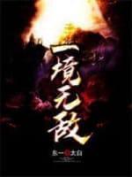 一境无敌