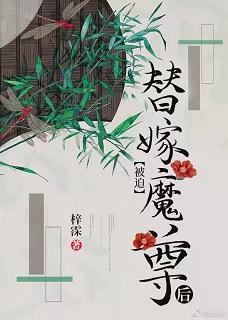 替嫁后，我与反派he了[穿书]