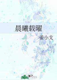 晨曦载曜