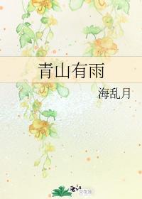 青山有雨