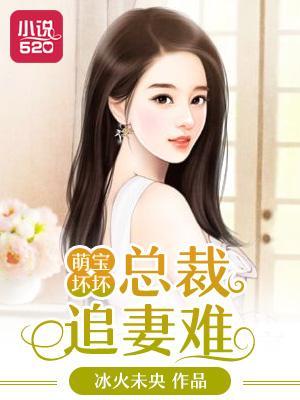 萌宝坏坏:总裁追妻难
