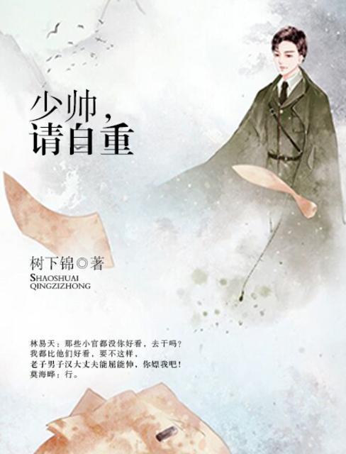 少帅,请自重