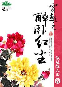 穿越之醉卧红尘