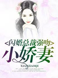 闪婚总裁强吻小娇妻