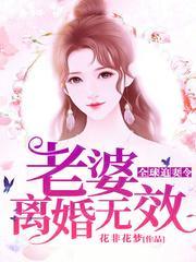 全球追妻令:老婆,离婚无效