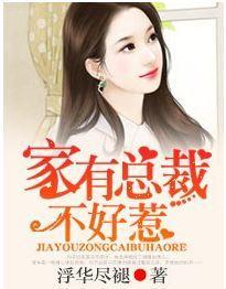 家有总裁,不好惹!
