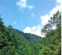 等你靠近