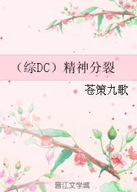 (综DC)精神分裂