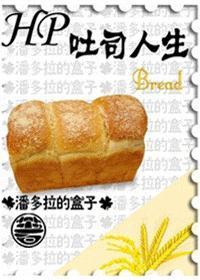 吐司人生