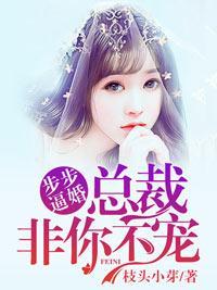 步步逼婚:总裁非你不宠