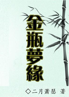 金瓶梦缘