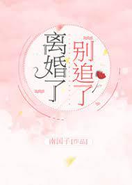 离婚了,别追了