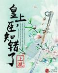 皇上,臣知错了