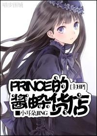 主HP Prince的酱油杂货店
