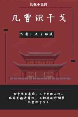 几曾识干戈